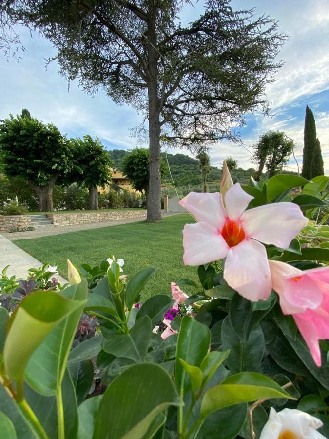 Relais Maria Cristina Bed & Breakfast Chianni Exterior photo